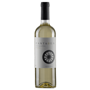 Vinho Branco Cantagua Classic Sauvignon Blanc